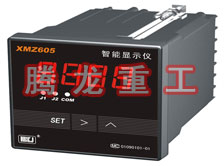 溫度表、數(shù)字顯示儀、濕度表