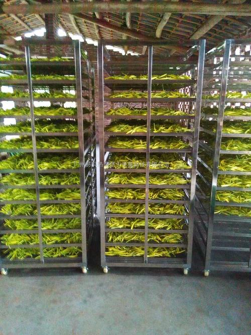 黃花菜烘干機(jī)、黃花菜烘干設(shè)備、黃花菜干燥機(jī)、黃花菜干燥設(shè)備、