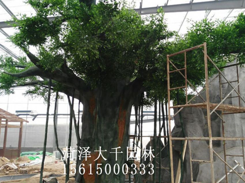 點擊查看詳細(xì)信息<br>標(biāo)題：假樹 閱讀次數(shù)：1533