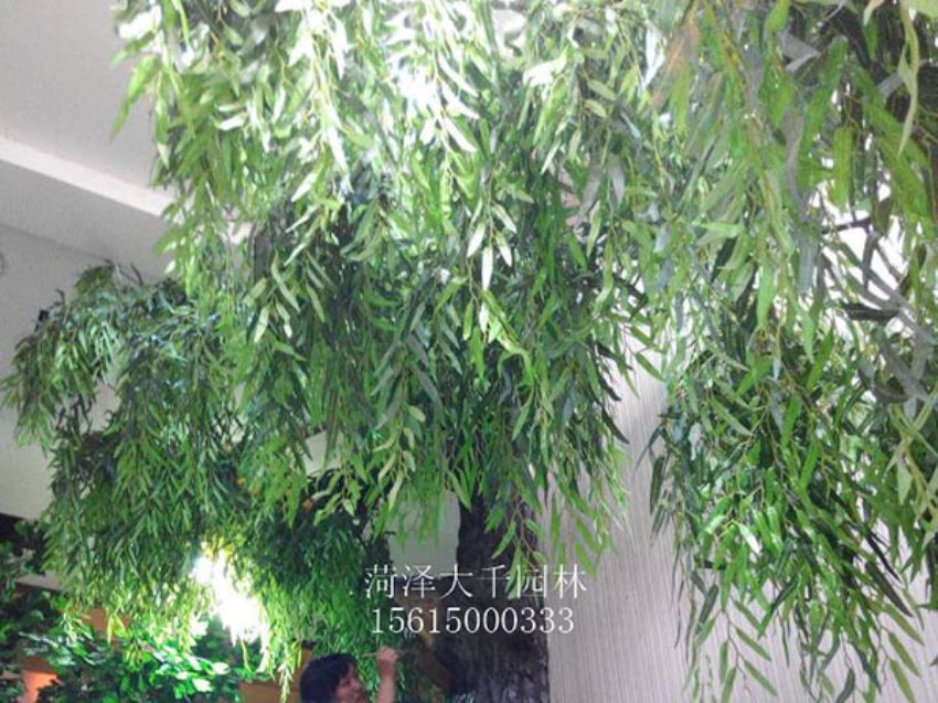 點擊查看詳細信息<br>標題：假樹 閱讀次數：1458