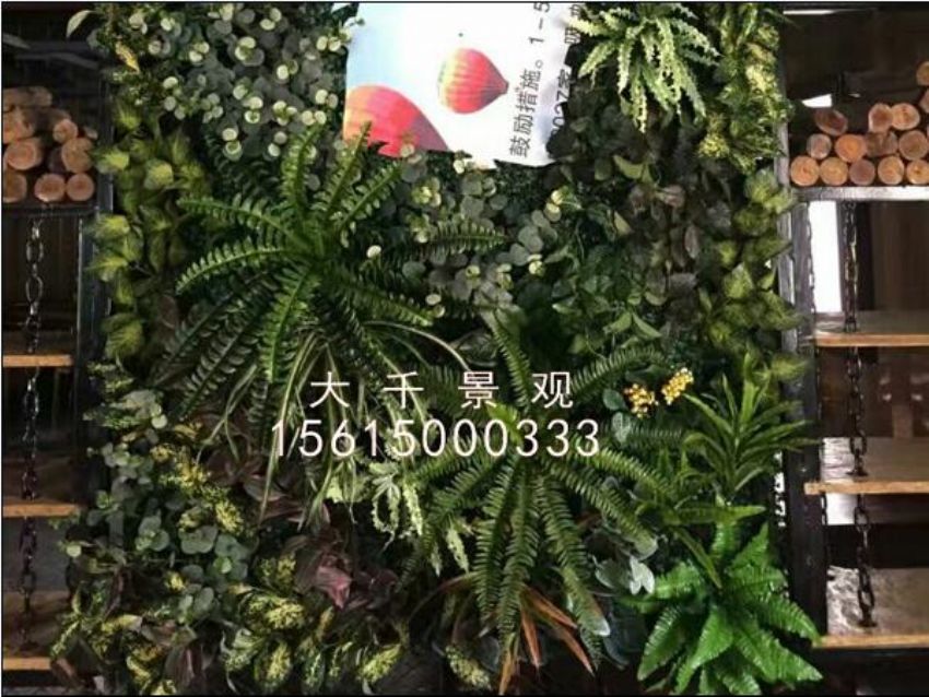 點擊查看詳細信息<br>標題：綠植墻 閱讀次數(shù)：1500