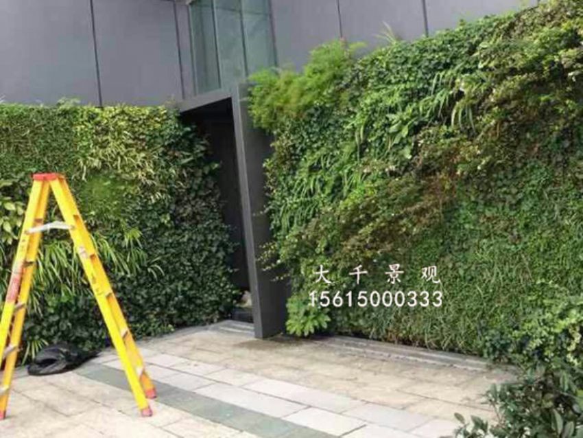 點擊查看詳細信息<br>標題：綠植墻 閱讀次數：1618