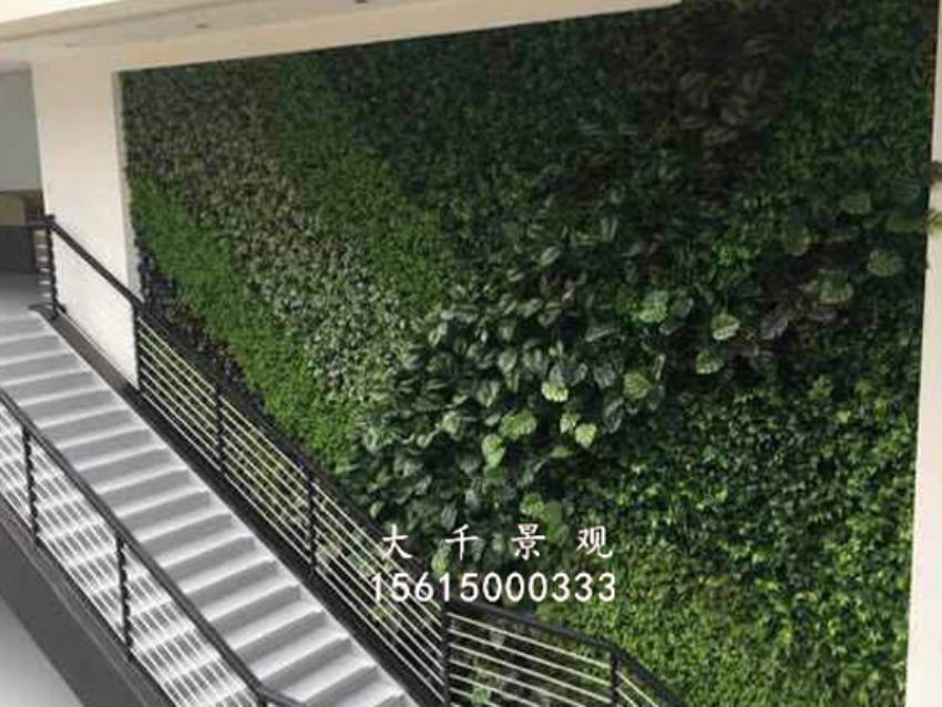 點擊查看詳細信息<br>標題：綠植墻 閱讀次數：1776