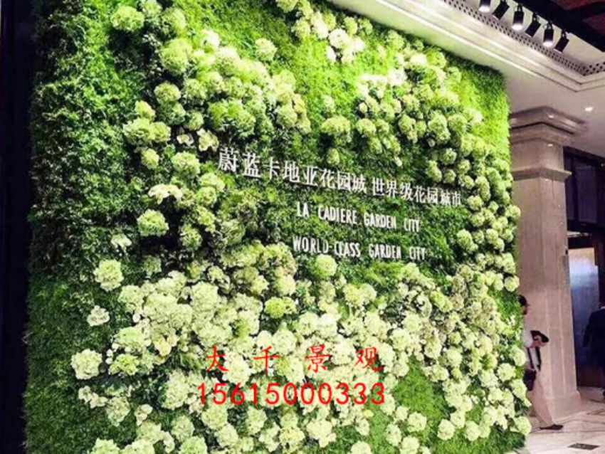 點(diǎn)擊查看詳細(xì)信息<br>標(biāo)題：綠植墻 閱讀次數(shù)：2186