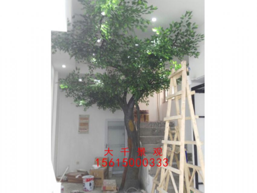 點擊查看詳細信息<br>標題：瓷磚磁瓦 閱讀次數：2443