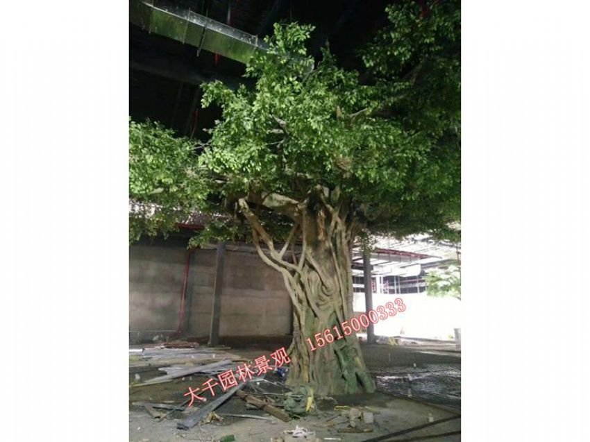 點擊查看詳細信息<br>標題：假樹 閱讀次數：2632