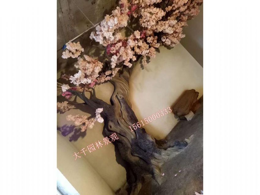 點擊查看詳細信息<br>標題：假樹 閱讀次數：2667